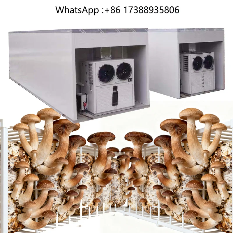 Mushroom Farming  Equipment Stainless Steel Multi-Span Agricultural Greenhouses Large Size Cultivation Machine