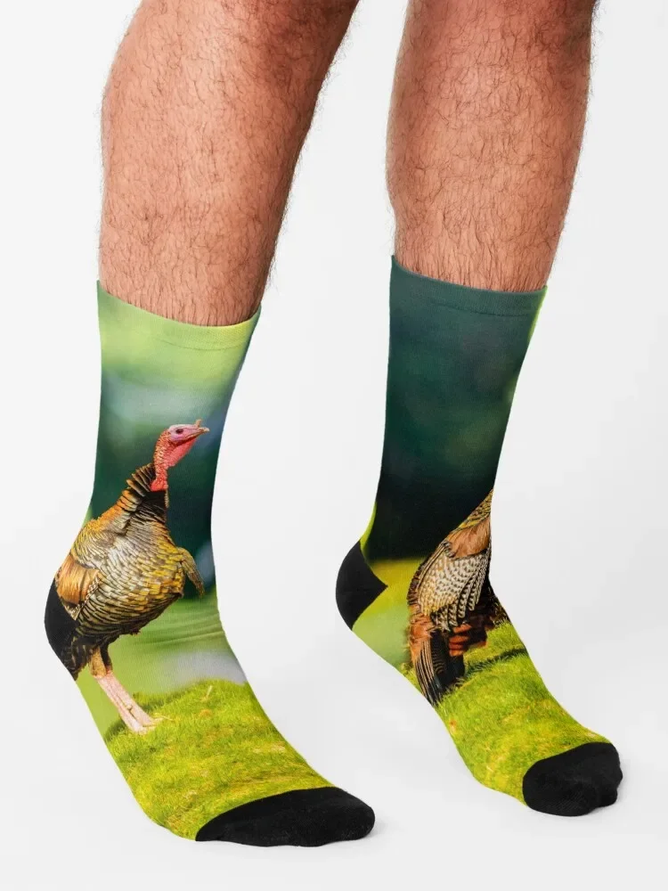 Calcetines de pavo salvaje para hombre y mujer, medias ideales para regalo de San Valentín, senderismo, marca de lujo