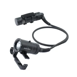 Professional Sidemount Canister Diving Light XHP70.3 LED 4000 Lumen IP68 Waterproof 150M Rechargeable With Goodman Handle