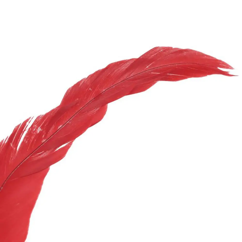 Plumes de Coq Multicolores Bleues et Rouges de 12 à 14 Pouces, 30 à 35cm, Accessoire de Bricolage