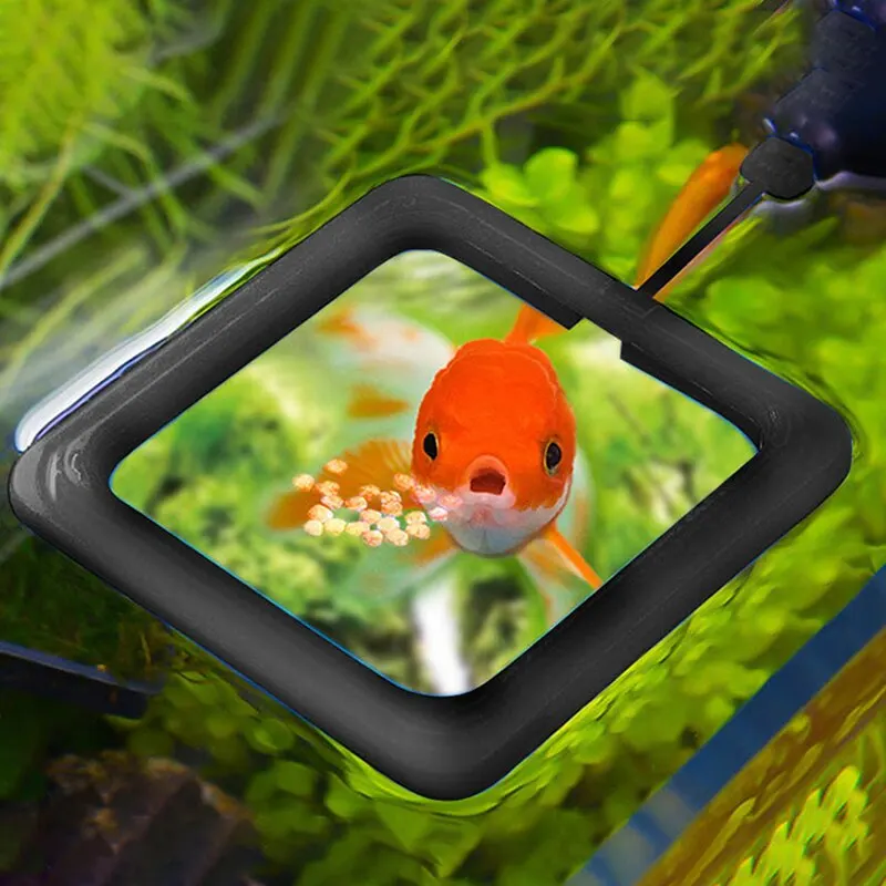 Aquarium Feeding Ring Fish Tank Station Floating Food Tray Feeder Square Circle Accessory Fish Food Feeder Suction Cup Black