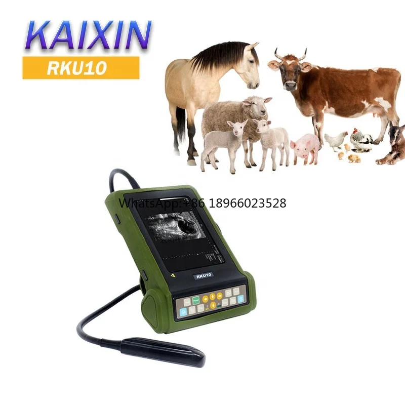 Portable Veterinary Ultrasound Machine Scanner RKU10 Kaixin Veterinary Ultrasound For Cattle Horses Sheep Animals