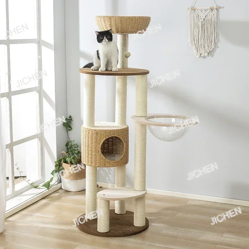 Jcq Cat Climbing Fr… - image