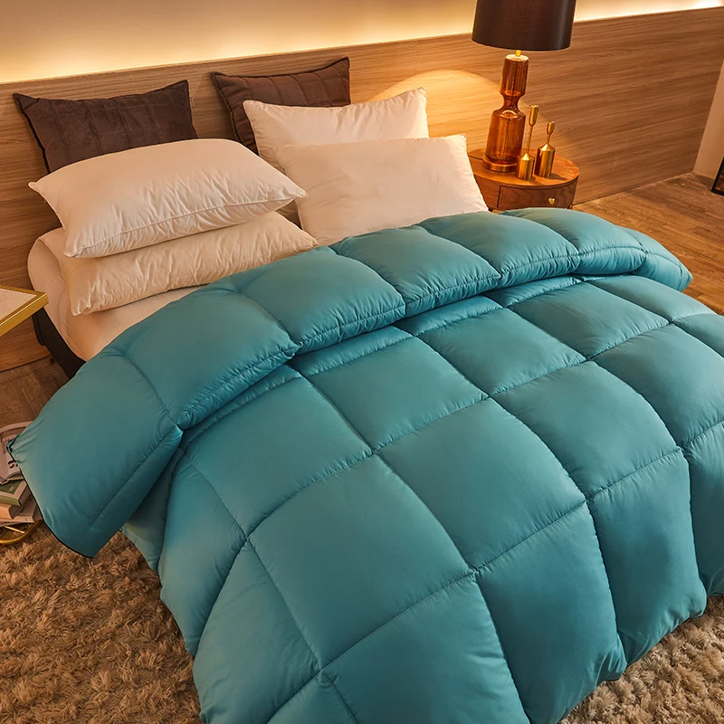 

95% Goose Down Duvet Comforter Quilted Perfect Comfort Double Single Size Winter Thick Blanket Solid Color Bedclothes Duvet