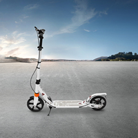 Adult Foldable Scooter with Disc Brake Adjustable Height Pedal Scooter for Commuting, Urban Travel, Outdoor Riding