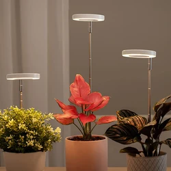 Grow Light Full Spectrum LED Plant Light for Indoor Plants Height Adjustable Dimmable Growing Lamp with Timer for Small Plants