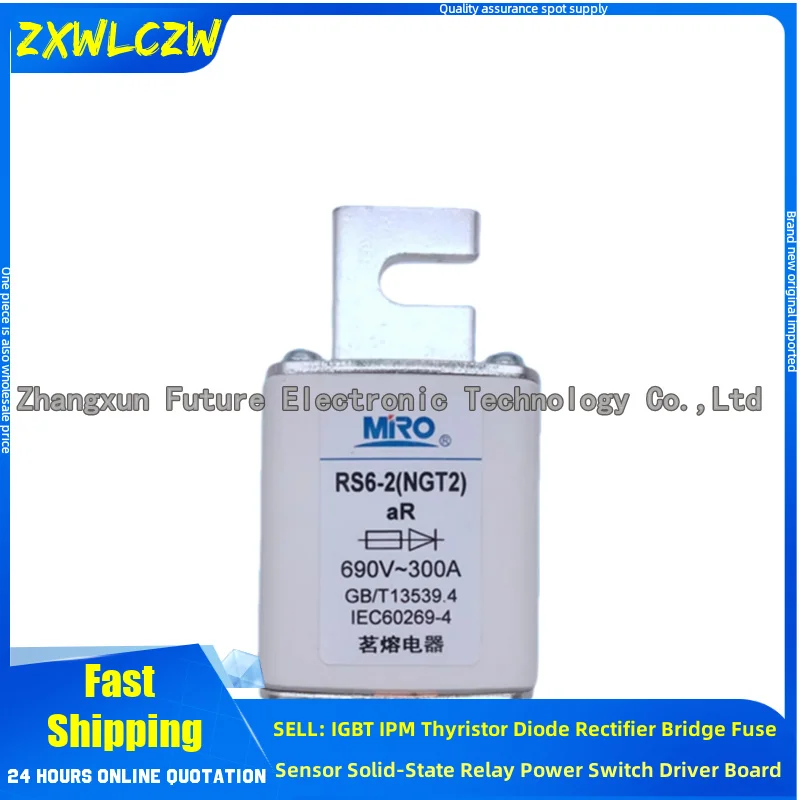 Rs6-2 Ngt2 690V/100…