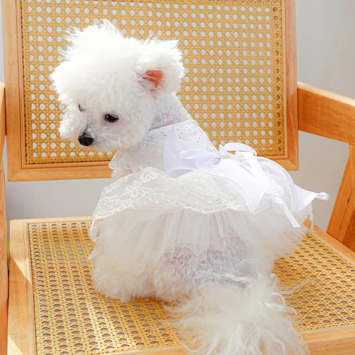 1PC Pet Clothing Cat and Dog Spring/Summer Thin White Wedding Princess Dress Suitable for Small and Medium sized Dogs