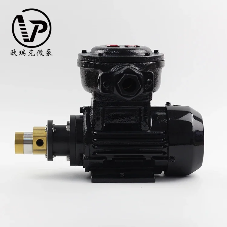 工場価格 AC 380V 高圧ギアポンプ 食品グレード 電磁駆動 ミニギアウォーターポンプ