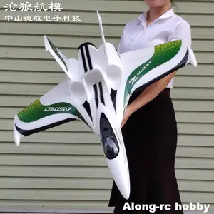 10 최고의 판매 RC 윙 - №9