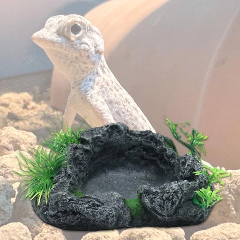 REPTILES ALIMENTOS SEGUROS RESIMAS DISPENSÃO ÁGUA PET PET ESCAPE AOBRADORES PROVA