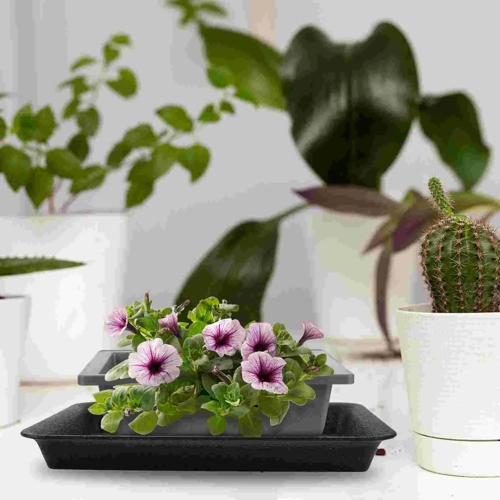 6 Pcs Flower Pot Tray Plant Dish Potting Trays for Plants Table Top Indoors No Holes