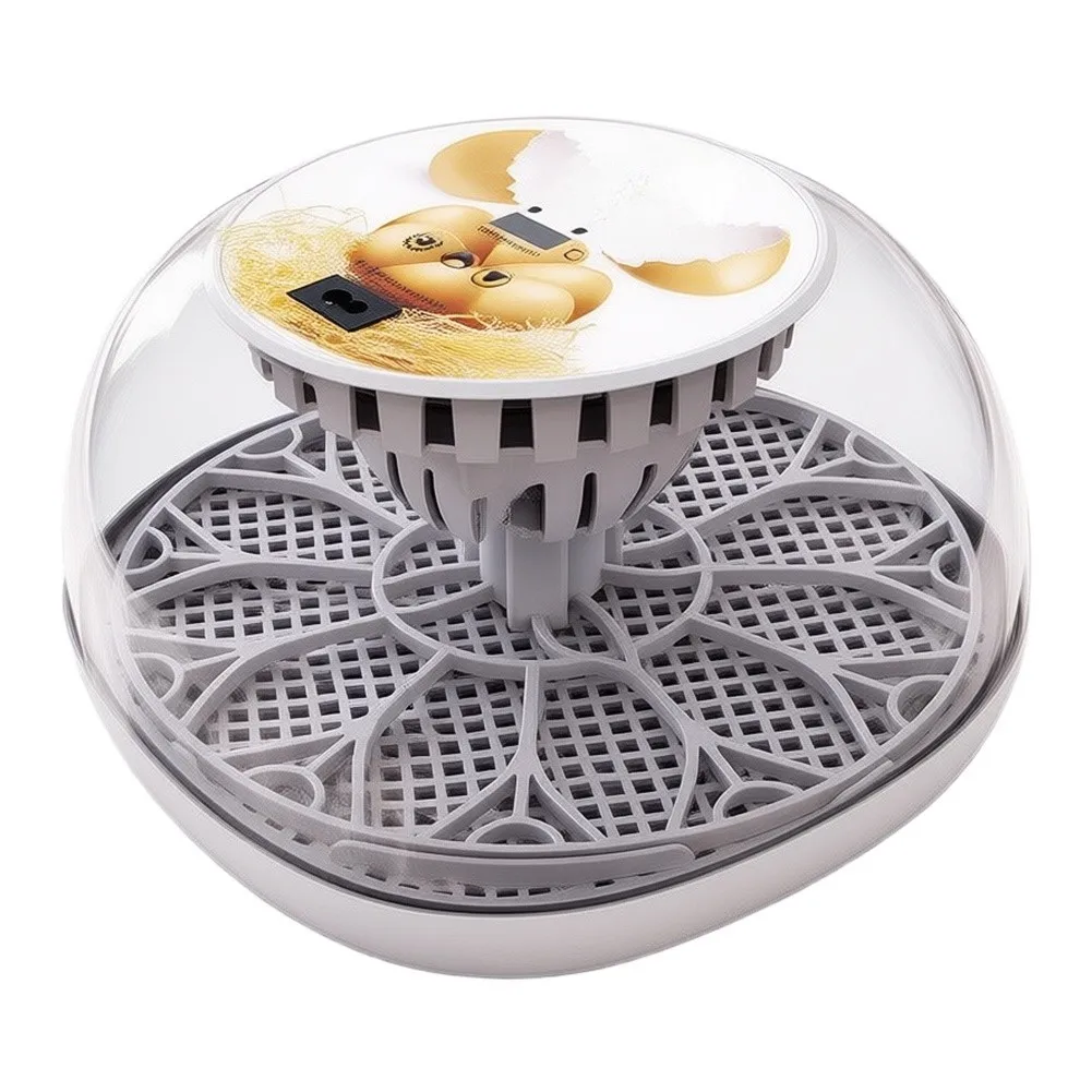 Automatic 12-Egg Incubator for Educational Science Experiments Featuring Uniform Air Distribution and Digital Monitoring