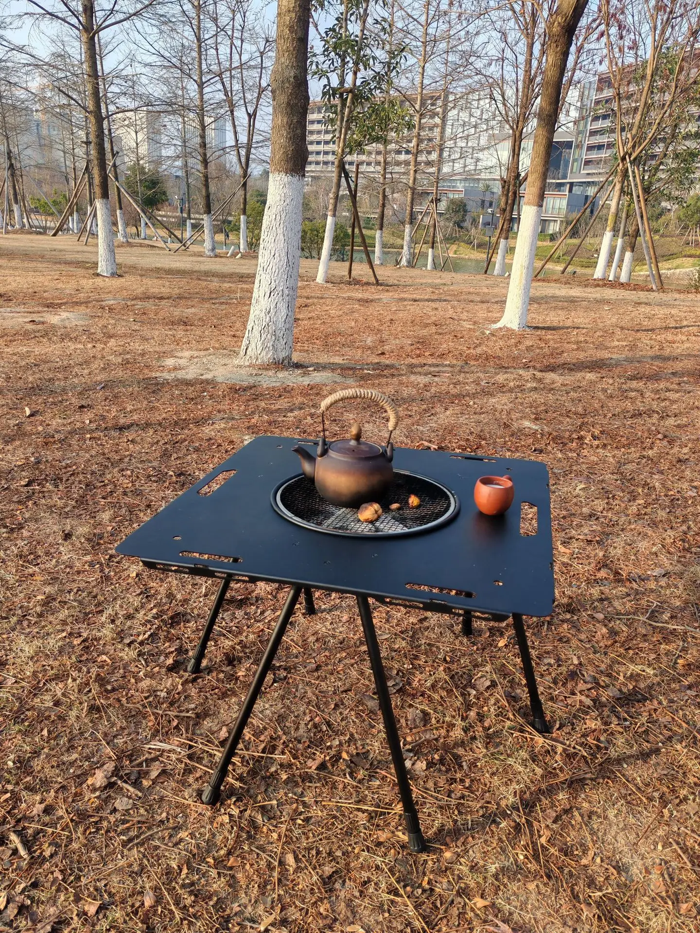 Cross-border multi-functional outdoor aluminum alloy enclosure tea table with roast fire barbecue basin picnic barbecue full set