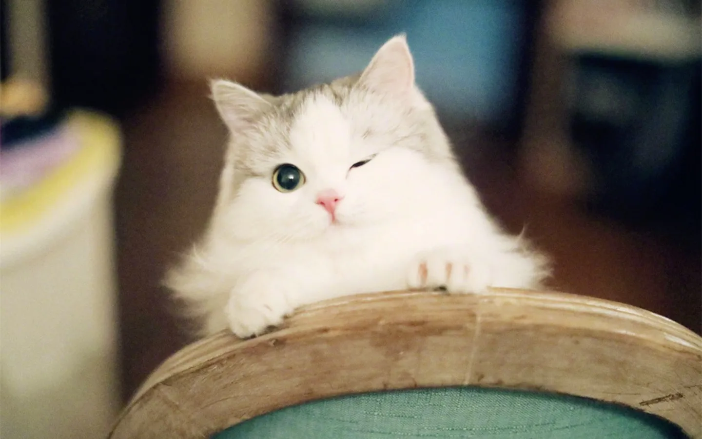 

Diameter 27mm Metal Wheel Hub Tire for RC Car 1/24 1/28 DriftArt DA4 DLR8 Wltoys K969 HGD1 XRX DRZ ATM DB Mini-Q