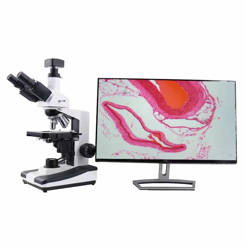 Biological microscope Large field eyepiece Imaging Clear operation Medical teaching Research microscope