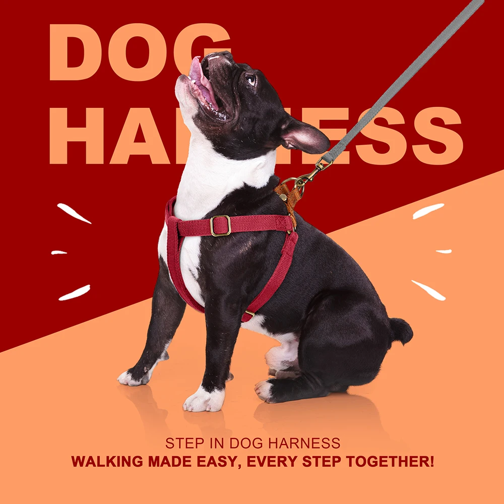 Step In Dog Harness Reflective Nylon Pet Puppy Cat Walking Vest Adjustable Strap for Small Medium Dogs French Bulldog Beagle