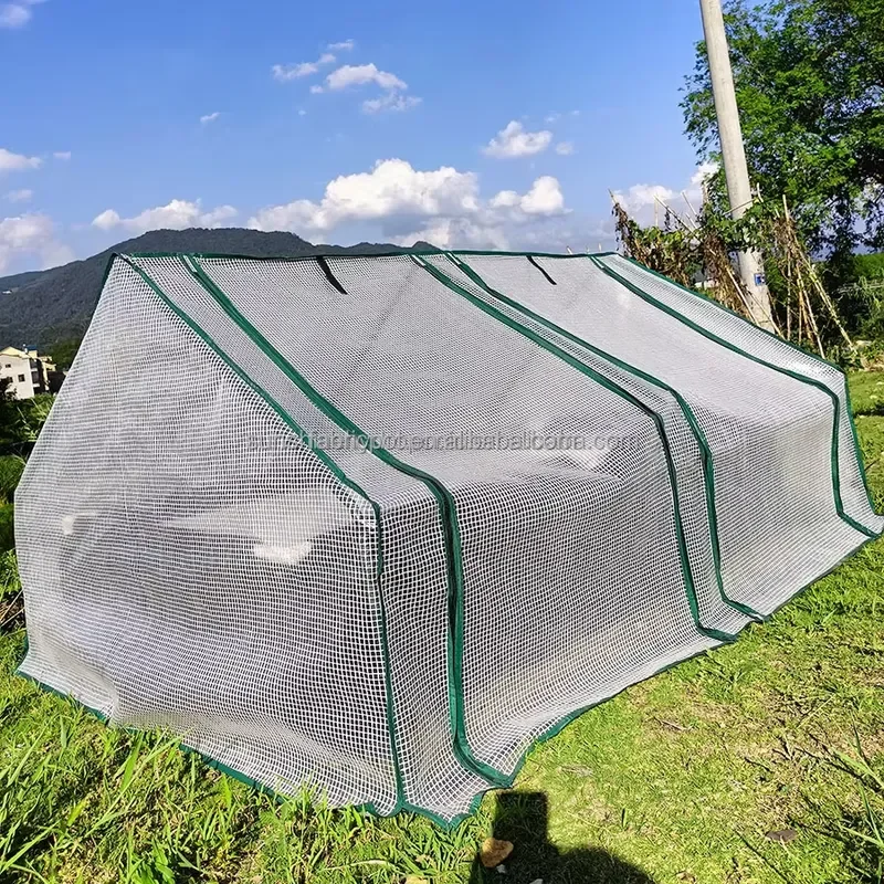 High Quality Durable Folding Mini Backyard Greenhouse Tent with White Green Plastic Metal Frame UV Resistant Easy Assembly