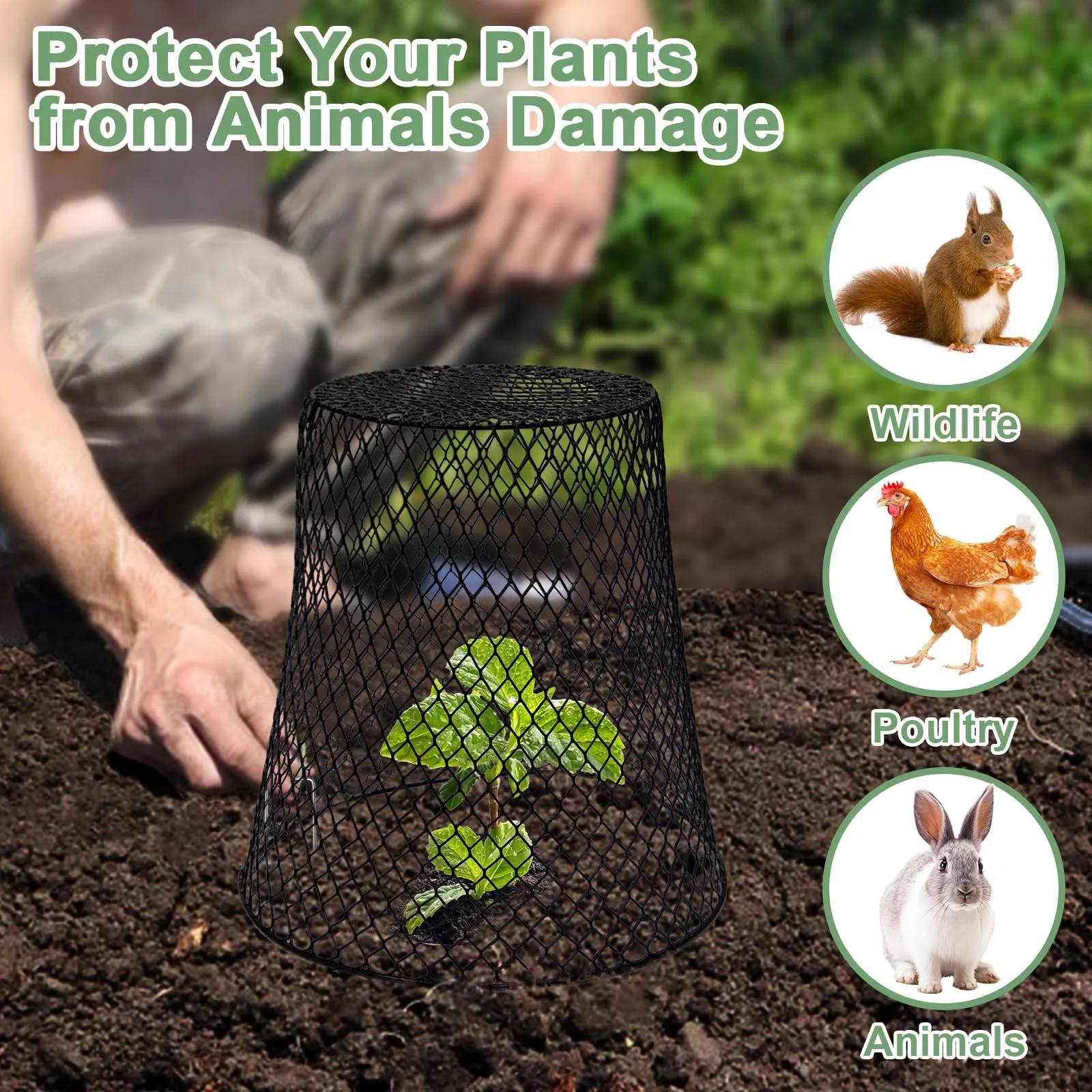 

Plant Covers Garden Netting Metal Heavy Duty Plant Protectors Multifunction Garden Yard Protective Supplies