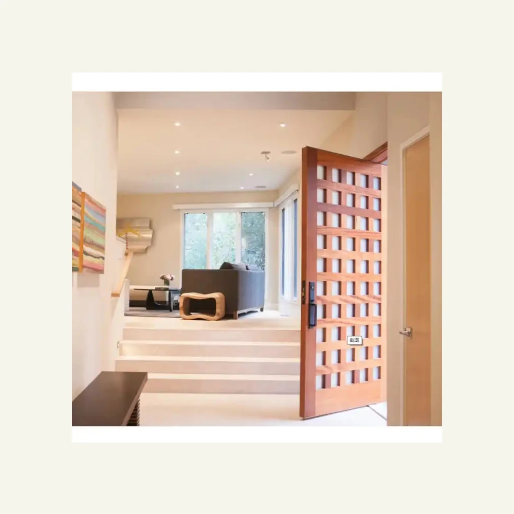 

Modern Contemporary Insert Glass Gold Front Door Of House With Handle