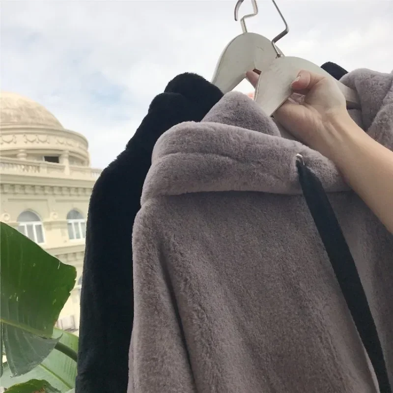 Autumn Winter Warm Double-sided Plush Hoodies Women Korean Solid Loose Long-sleeved Pullover Coat Y2k Casual Sweatshirts