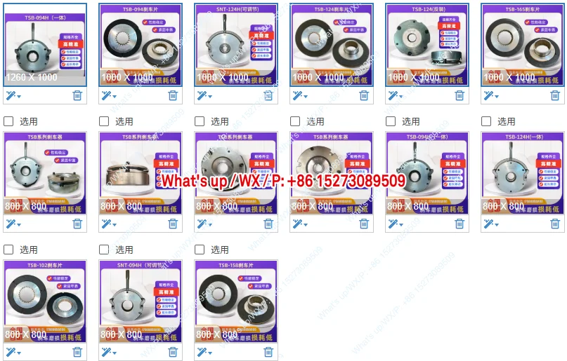 

TSB Electromagnetic Brake Motor Brake TSB-124H 150 094 102 TSB-165 Motor Brake Parts