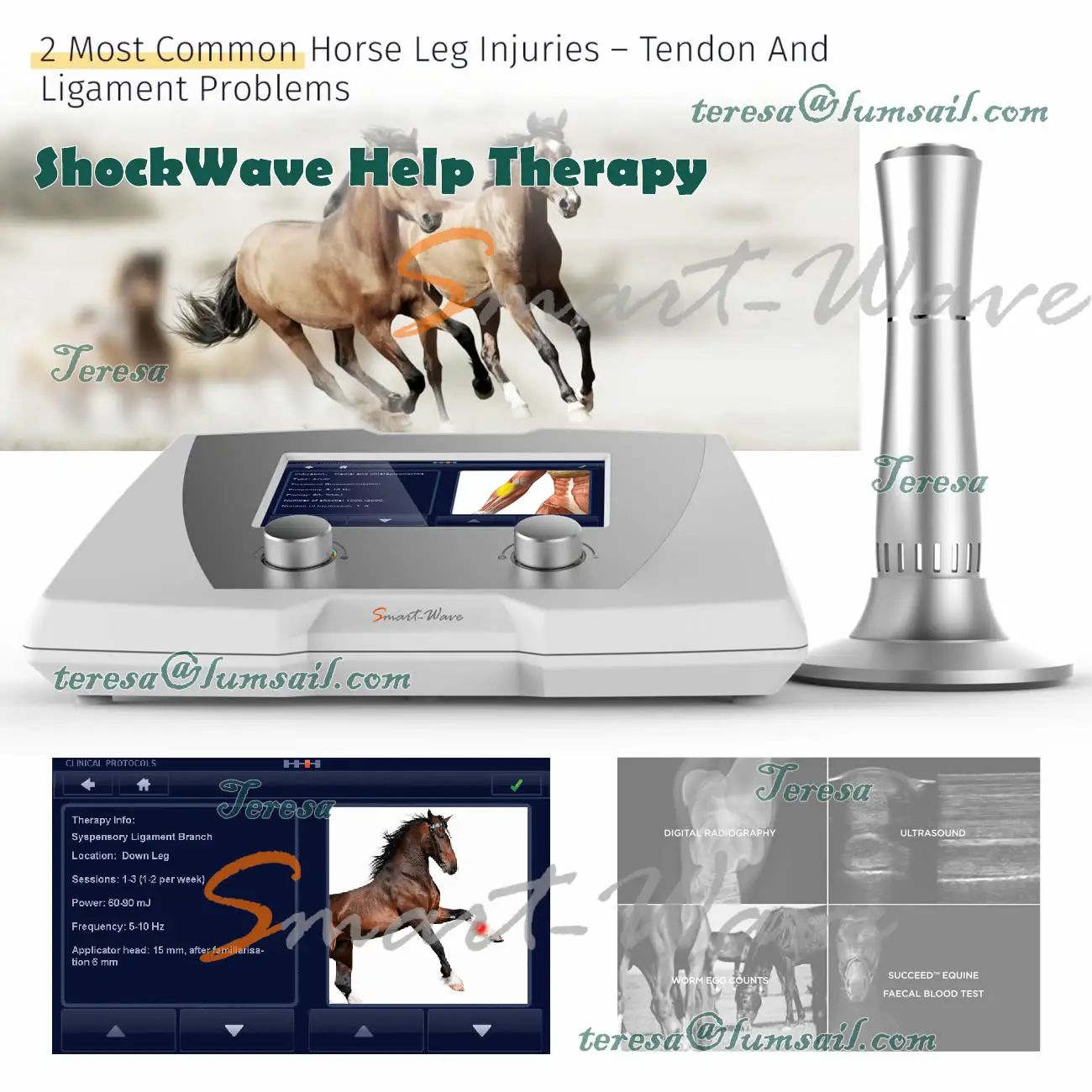 Veterinary equipment Shockwave Physiotherapy for horse and small pets therapy BS-SWT2X