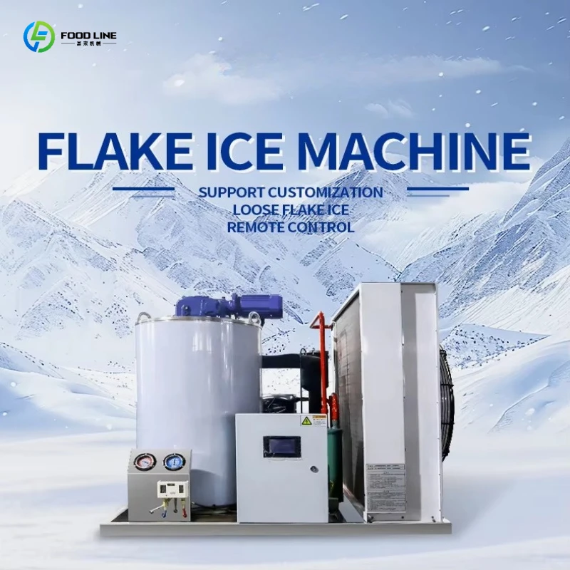 FL Large Ice Flaker 20-40T/Day Industrial Grade With Storage Room for Cold Chain Logistics Center