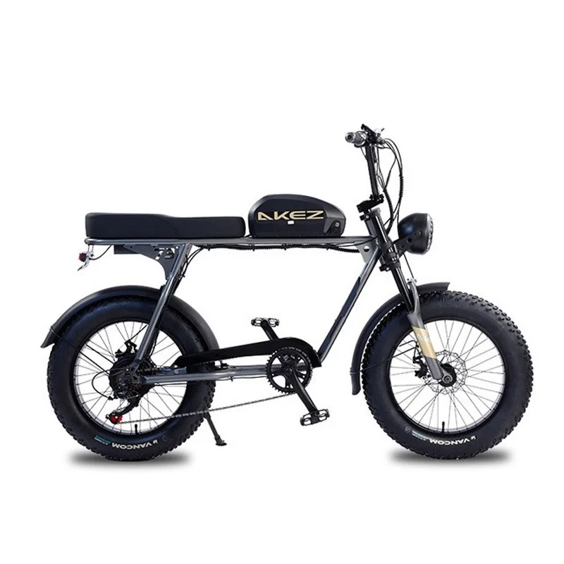 Adult Fatbike Electric Bike With Smart LCD Display Electric Bicycle For Woman Ebike 1500W 48V Electric Road Bike For Men