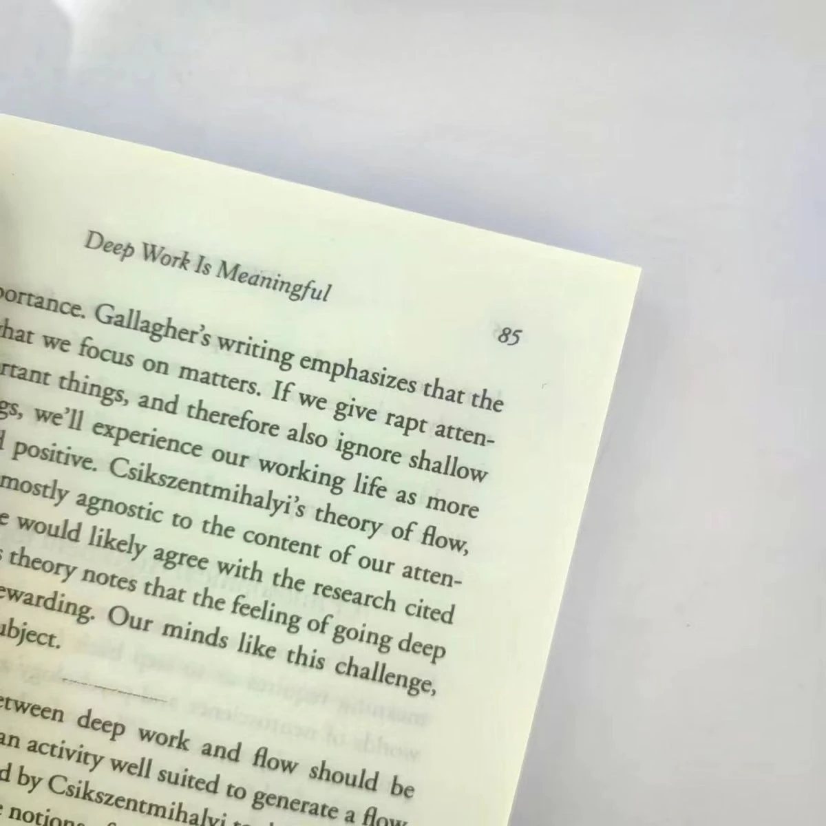 Regras De Trabalho Profundo Para O Sucesso Focado, Livro De Auto-Ajuda, Livros De Inglês, Em Um Mundo De Diagrama Por Cal Long, Trabalho Profundo