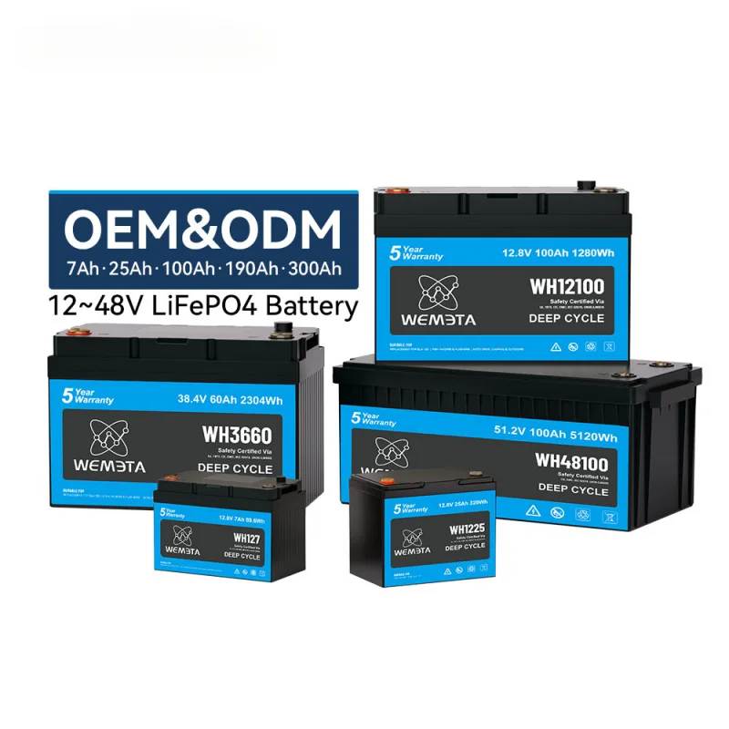 Customized 12V 24V 36V 48V Rechargeable Lifepo4 Storage Battery 50Ah 100Ah 200Ah 300Ah RV Marine Cart Lithium Battery