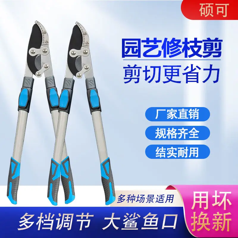 Fruit tree pruning, cutting thick branches, vigorously cutting branches, special scissors for branch extension, strong scissors