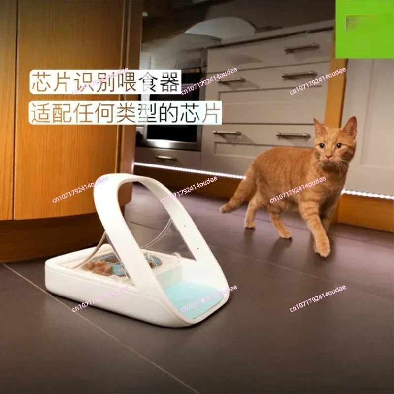 Surefeed Chip Recognition Sensing Multi Cat Automatic Feeder Pet Cat Bowl Puppy Wet Food Preservation and Insect Prevention