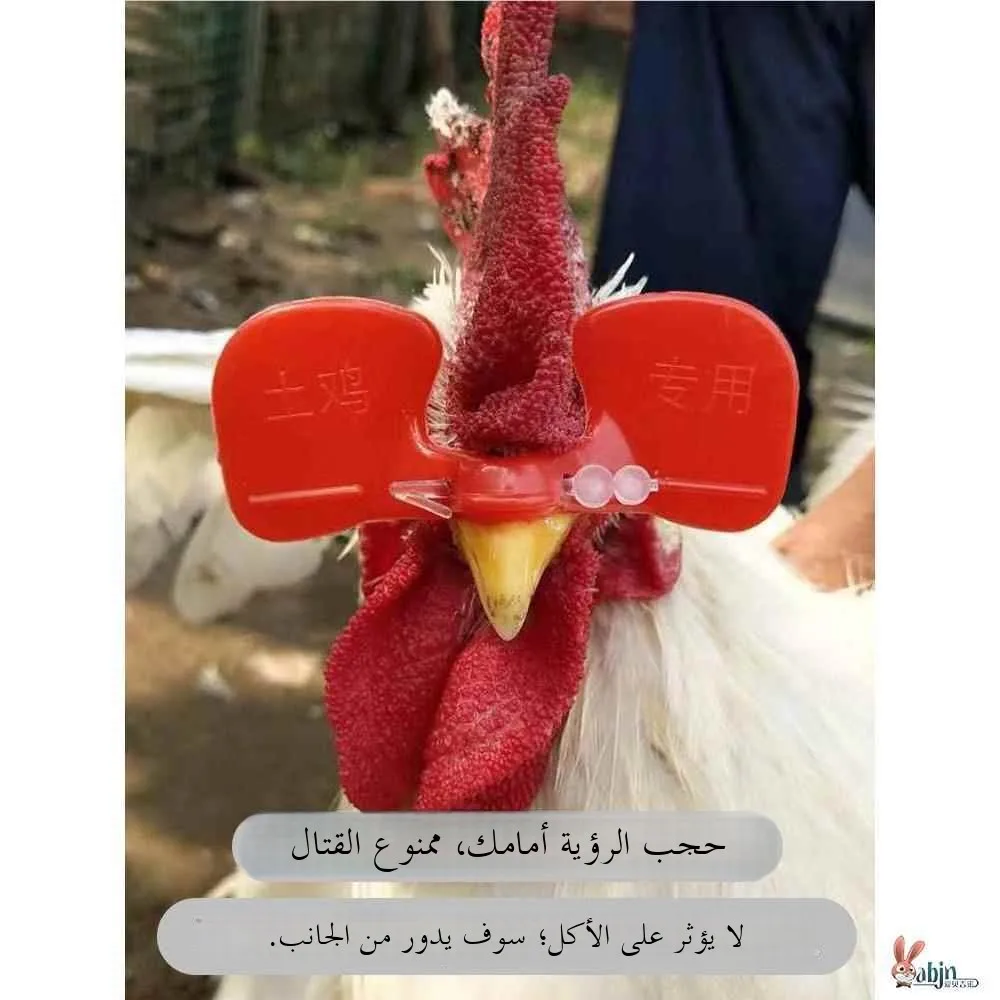 特大鶏用戦闘用メガネ、鶏の目保護リング、目を突くのを防ぐアイシールド、家庭用農場動物用品