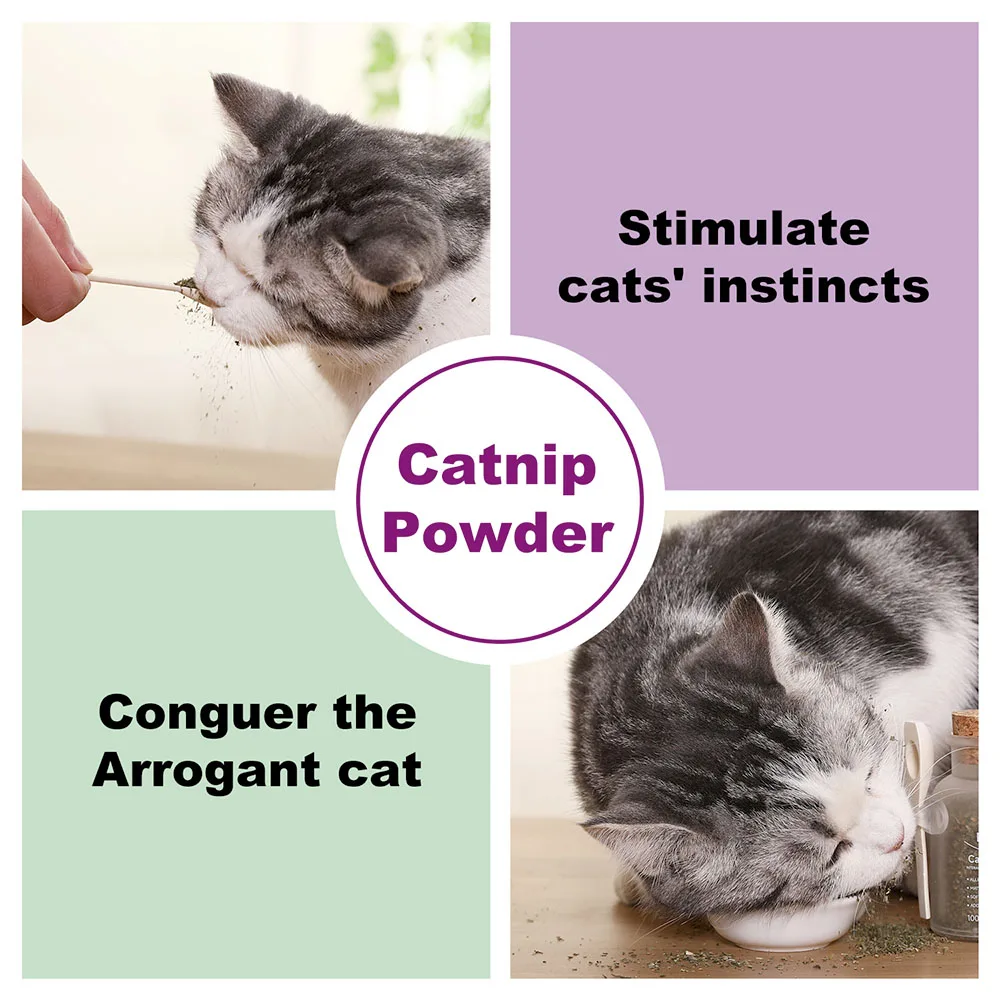 Organiczna mieszanka kocimiętki Premium Idealna dla kotów, zastosowań ze maksymalizowaną potencją swojego kociaka jest gwarantowana na przejdź Crazy 100 ml