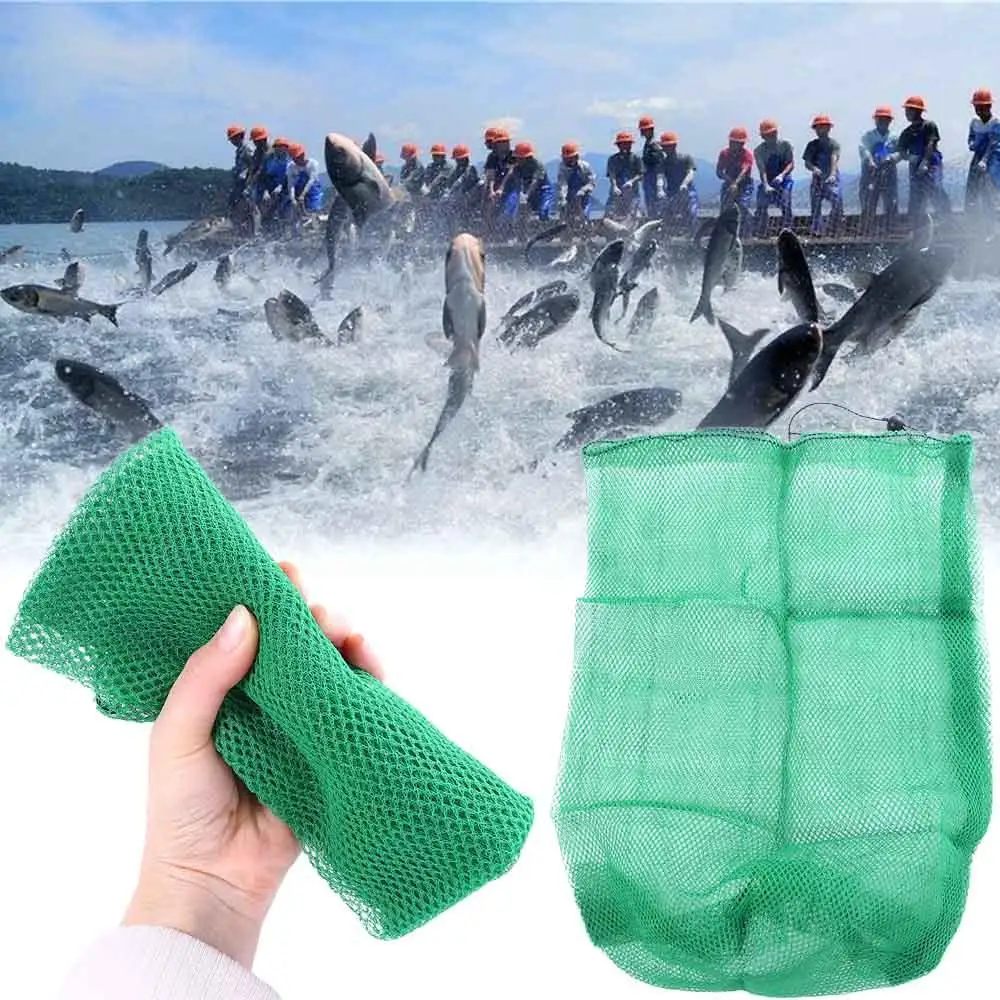 

Portable Fishing Accessories Green Folding Fishing Net Small Grid Mesh Bag Live Fish Nets Nylon Mesh Bag Fish Nets Bag