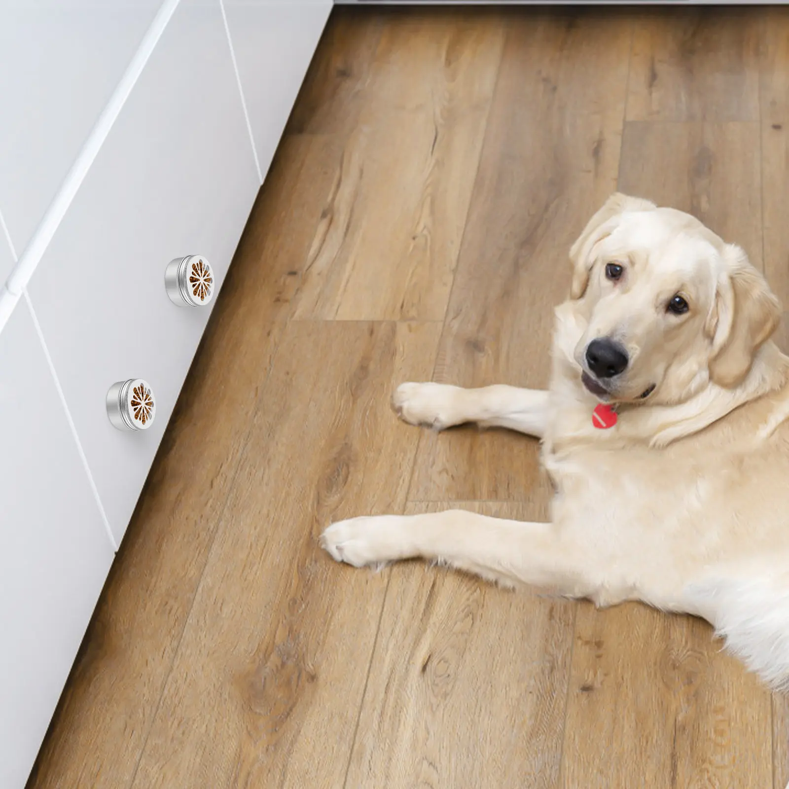 1-犬用嗅覚トレーニングボックス、金属製の容器、磁石付きドット、ペットの鼻を使ったトレーニング用具、嗅覚アジリティトレーニング用品