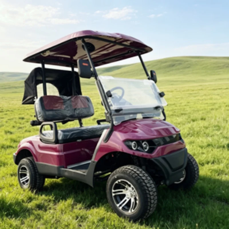 Design New Energy Electric Golf Cart Club Golf Cart Manufacturer With 12-Inch Off-Road Tires Side Mirror With Turning Light