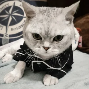 Bir kedi için soğukta giyimde ilk 10 satış, no. 4