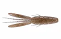 W009