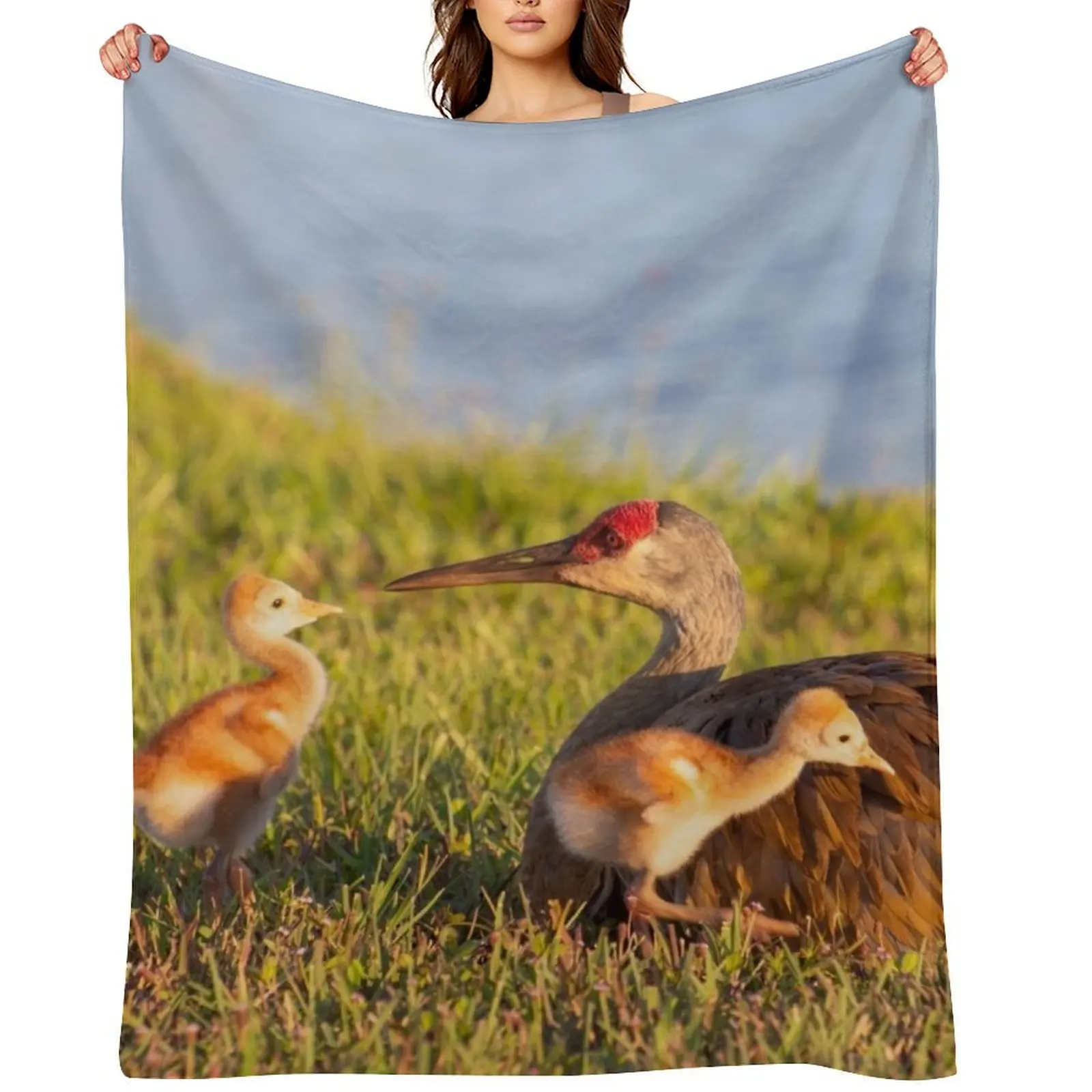 

Sandhill crane with colts Throw Blanket christmas gifts Decorative Sofa Hair bed plaid Blankets