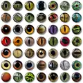 6mm-color random