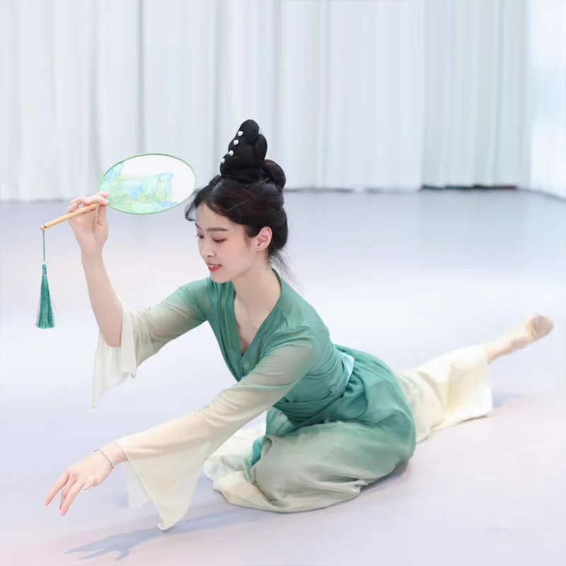 Classical Dance Dress Long Gauze Clothes Chinese Classic Dance Performance Costumes Women's Performance Training Clothes
