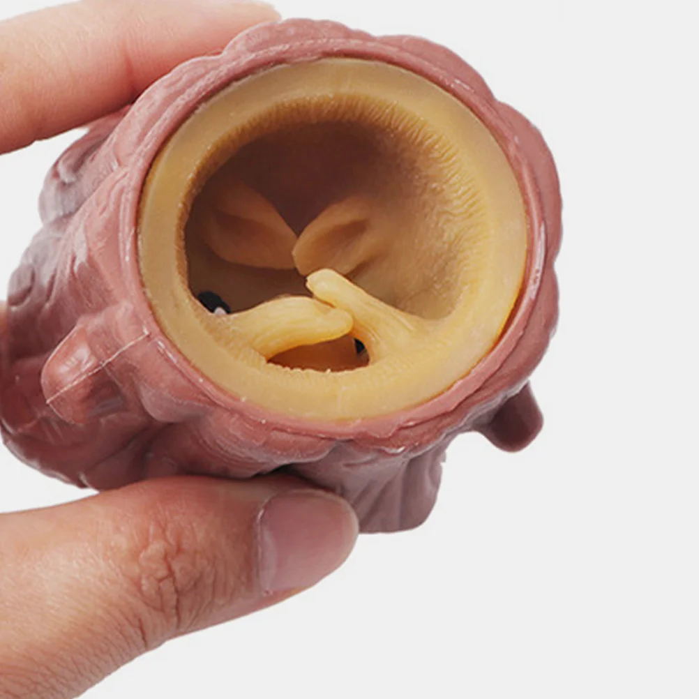 3 Pcs Squirrel Decompression Toy Retractable Plaything Tricky Pressure Relief Toys Stress Reliever Vinyl Material