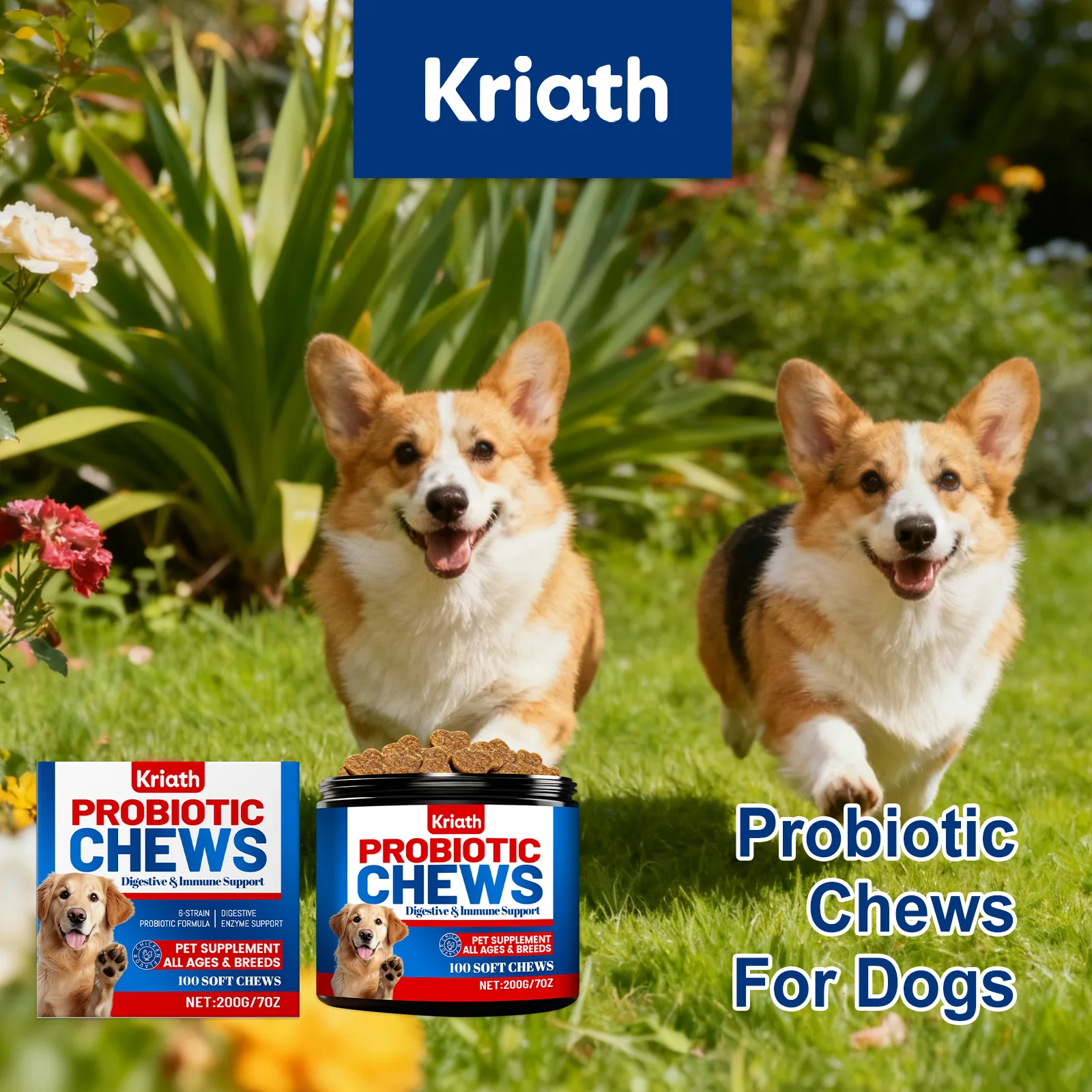 

Dog Gut Health Probiotic Chews - Gentle Care Supports Balance Easy Absorption Digestive Enzyme Support All Ages Breeds