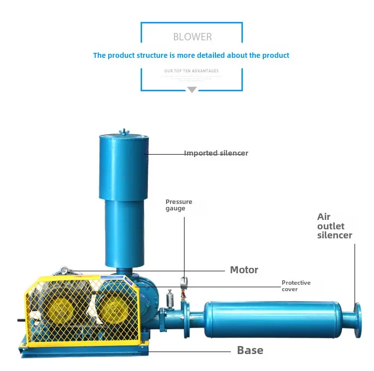 Fan Aerator Fish Pond Aeration High Pressure High Power Sewage Treatment Vacuum Pump Aquaculture