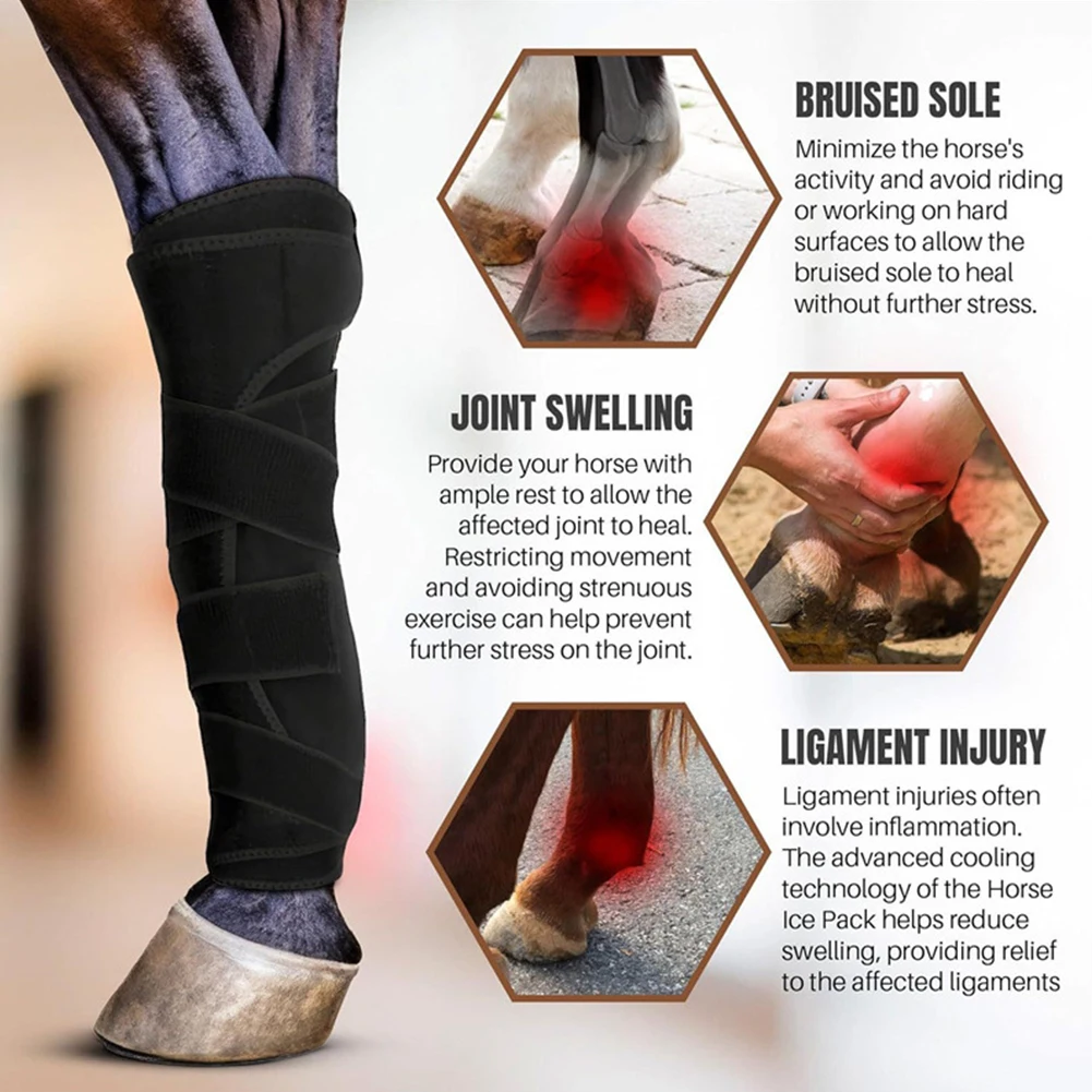 Leggings de cheval absorbant les chocs, ensemble de bottes de Sport, Protection des tendons réglables pour l'entraînement au saut, équipement équestre, 2 pièces