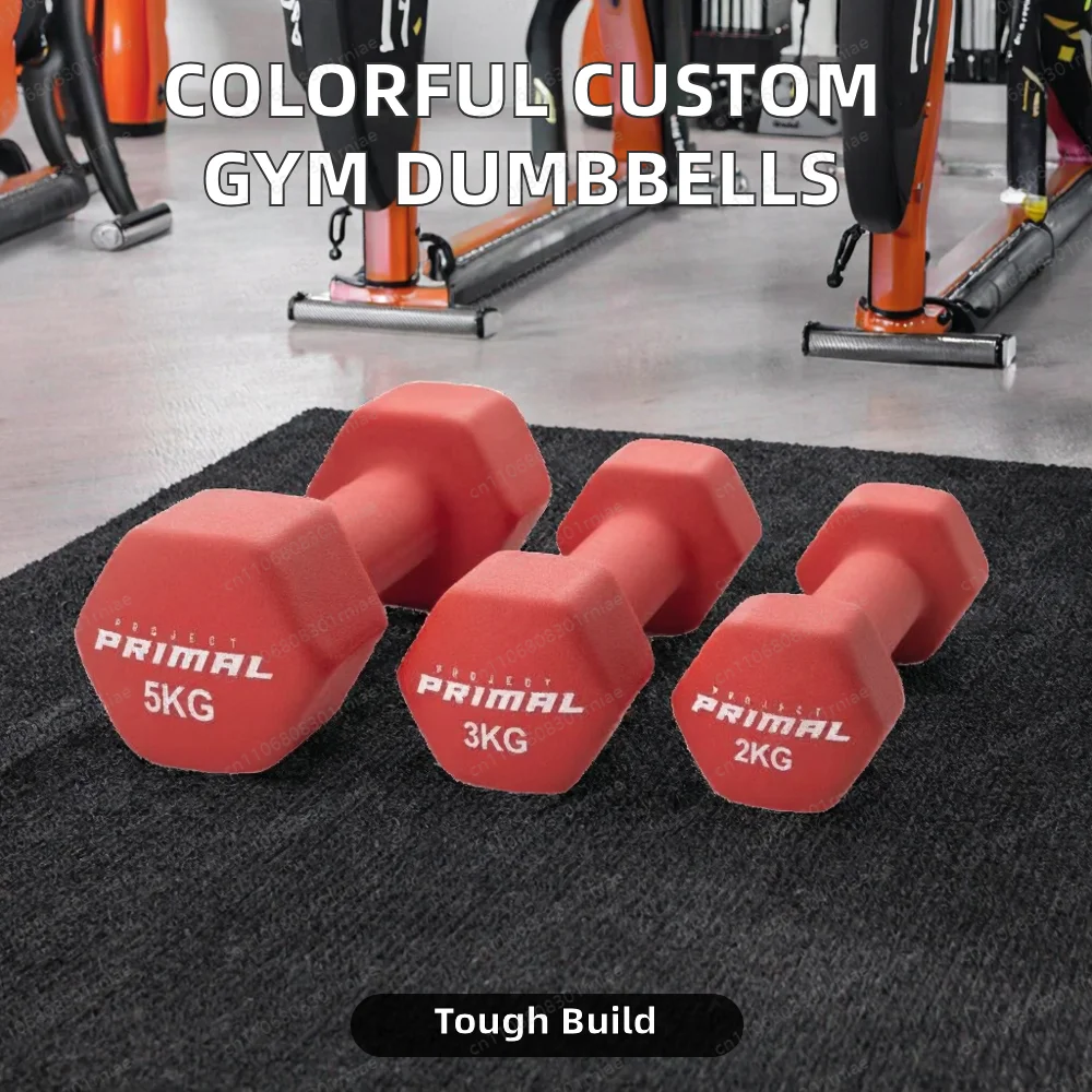 Iron fitness dumbbells, color lightweight non-slip gym workout free weight lifter for hands, shoulders, arms