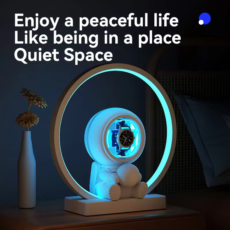 Best AliExpress Watch Cases - Organizers & Automatic Winders