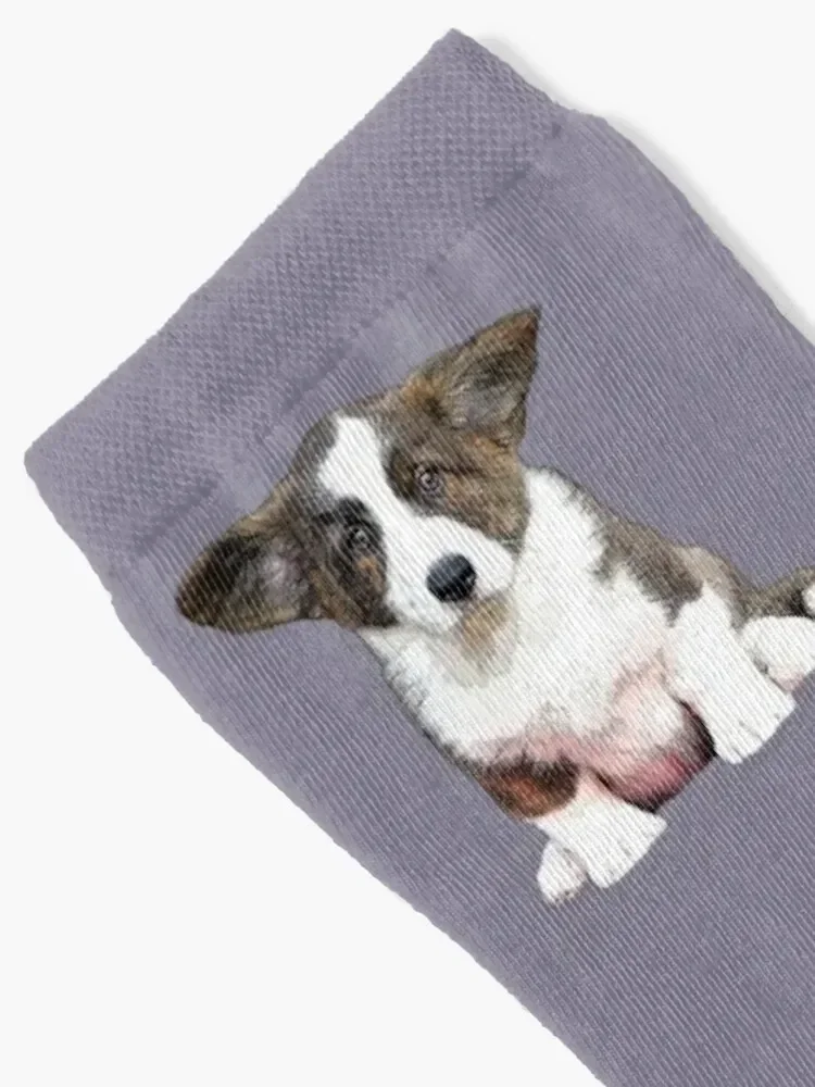 Corgi Cardigan Welsh Corgi Brindle Puppy Dog Socks christmas gift floor anime gifts Socks Women Men's